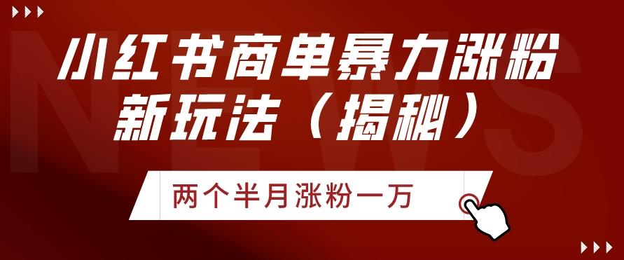小红书商单暴力涨粉新玩法两个半月涨粉一万（揭秘）-网创资源