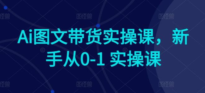 Ai图文带货实操课，新手从0-1 实操课-网创资源