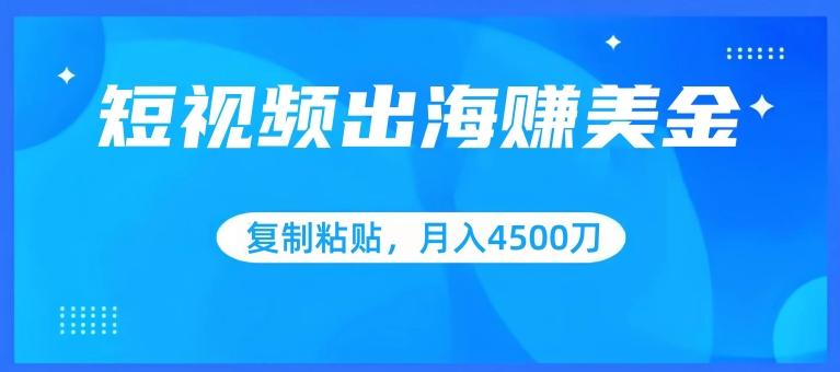 短视频出海赚美金，复制粘贴批量操作，小白轻松掌握，月入4500美刀【揭秘】-网创资源