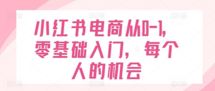 小红书电商从0-1，零基础入门，每个人的机会-网创资源