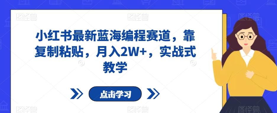 小红书最新蓝海编程赛道，靠复制粘贴，月入2W+，实战式教学【揭秘】-网创资源