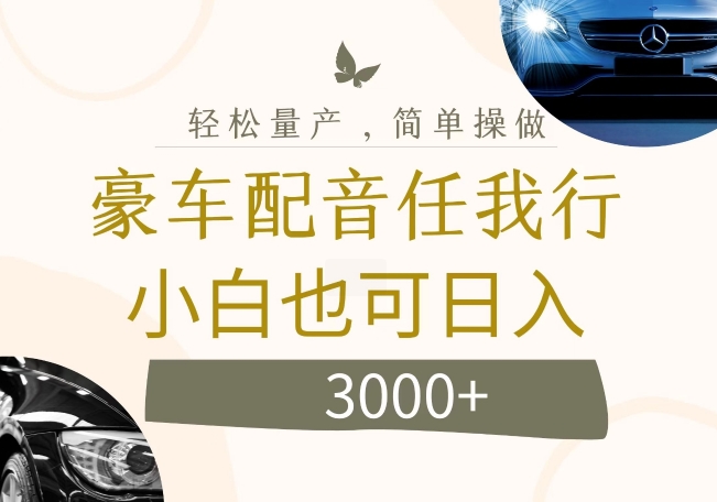 不为人知的暴力小项目，豪车配音，日入几张【揭秘】-网创资源