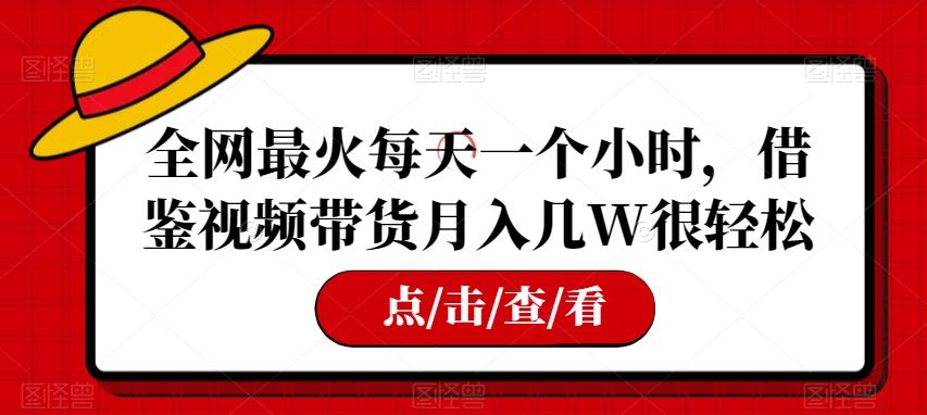 全网最火每天一个小时，借鉴视频带货月入几W很轻松【揭秘】-网创资源