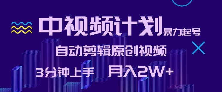 中视频计划暴力起号，自动剪辑原创视频，3分钟上手，月入2W+【揭秘】-网创资源