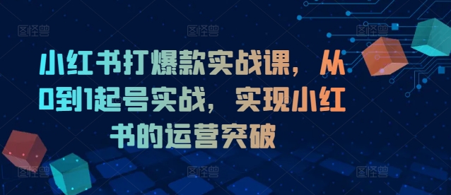 小红书打爆款实战课，从0到1起号实战，实现小红书的运营突破-网创资源