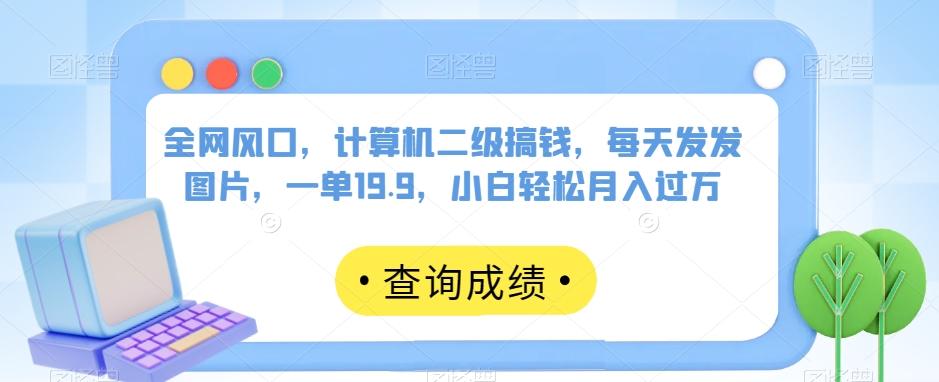全网风口，计算机二级搞钱，每天发发图片，一单19.9，小白轻松月入过万【揭秘】-网创资源