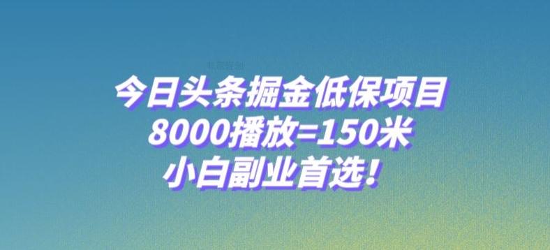今日头条掘金低保项目，8000播放=150米，小白副业首选【揭秘】-网创资源