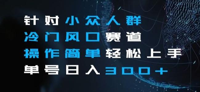 针对小众人群冷门风口赛道，操作简单轻松上手单号日入300+-网创资源