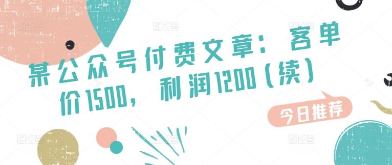 某公众号付费文章：客单价1500，利润1200(续)，市场几乎可以说是空白的-网创资源
