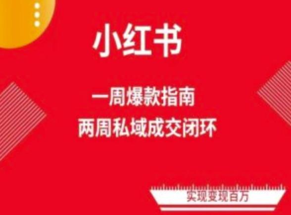 爆款小红书免费流量体系课程(两周变现)，小红书电商教程-网创资源