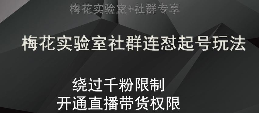 梅花实验室社群连怼起号玩法，视频号绕过千粉限制，开通直播带货权限【揭秘】-网创资源