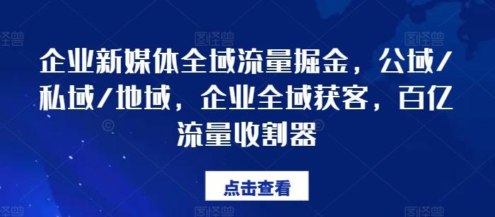 企业新媒体全域流量掘金，公域/私域/地域，企业全域获客，百亿流量收割器-网创资源