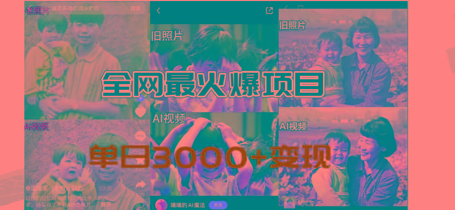 全网爆火的AI让老照片动起来教程，蹭热点日赚3000+，内含免费工具一键…-网创资源