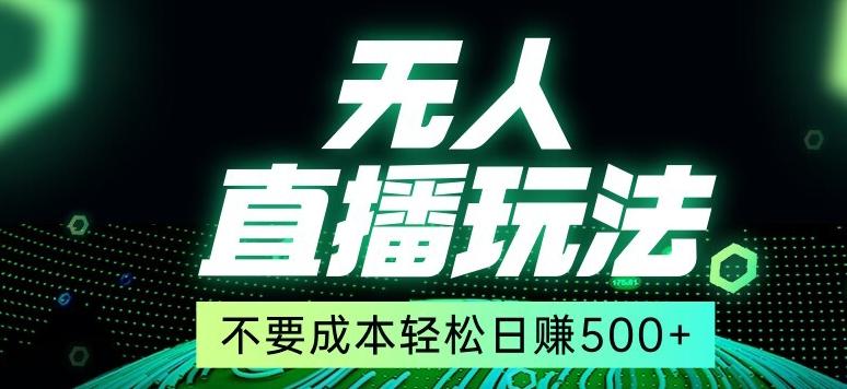 全网首发24年最新无人直播玩法，不需要成本，无需人力，一台电脑24小时为你工作-网创资源