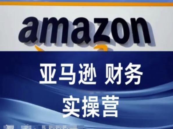 亚马逊财务核算实操营-亚马逊跨境电商教程-网创资源