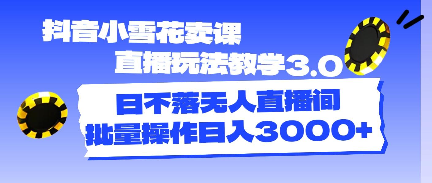 抖音小雪花卖课直播玩法教学3.0，日不落无人直播间，批量操作日入3000+-网创资源