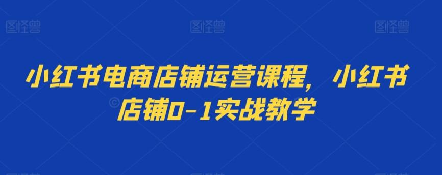 小红书电商店铺运营课程，小红书店铺0-1实战教学-网创资源