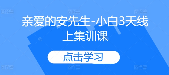 亲爱的安先生-小白3天线上集训课-网创资源