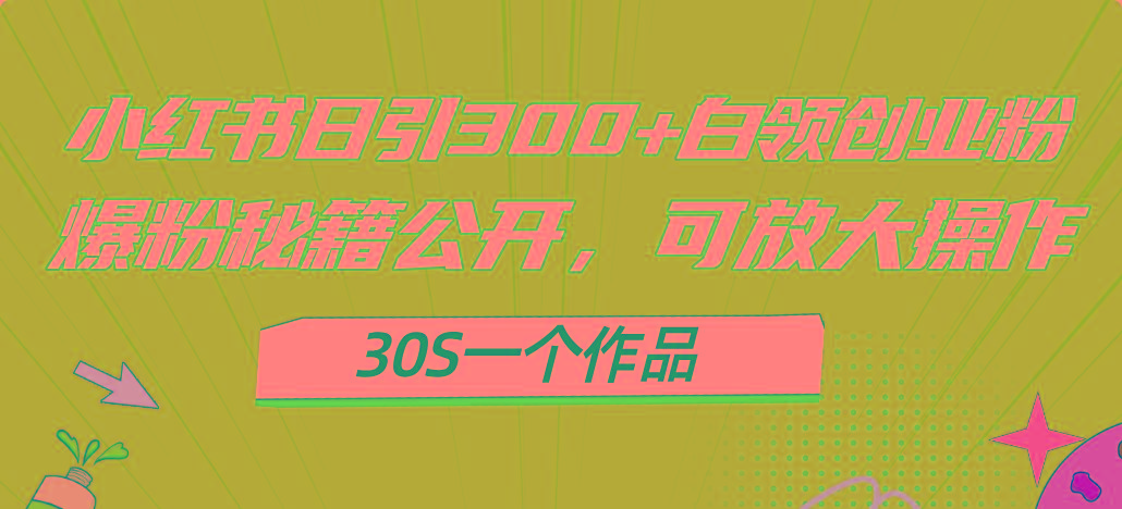 小红书日引300+高质白领创业粉，可放大操作，爆粉秘籍！30s一个作品-网创资源