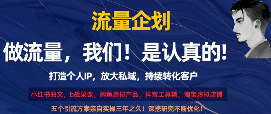 流量企划，打造个人IP，放大私域，持续转化客户【揭秘】-网创资源