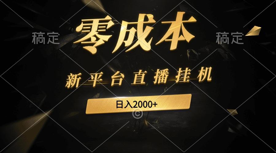 (9841期)新平台直播挂机最新玩法，0成本，不违规，日入2000+-网创资源