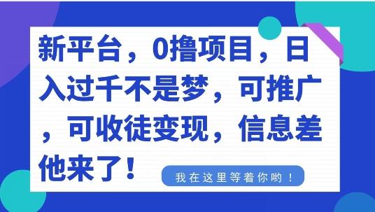 不要再花冤枉钱了，0撸项目，每天坚持，稳定1000+-网创资源