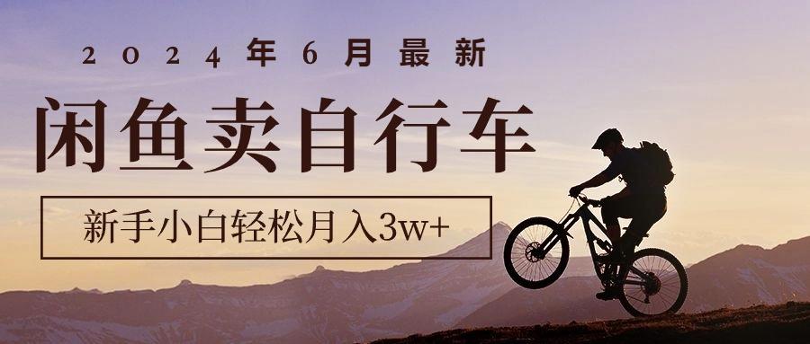 2024年6月最新闲鱼卖自行车，新手小白轻松月入3w+项目-网创资源