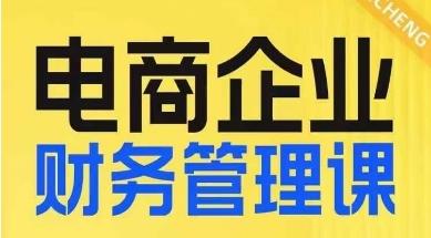 电商企业财务管理线上课，为电商企业规划财税-网创资源