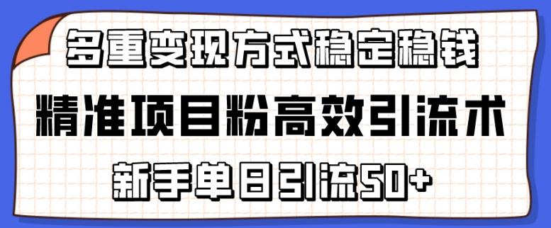 精准项目粉高效引流术，新手单日引流50+，多重变现方式稳定赚钱【揭秘】-网创资源