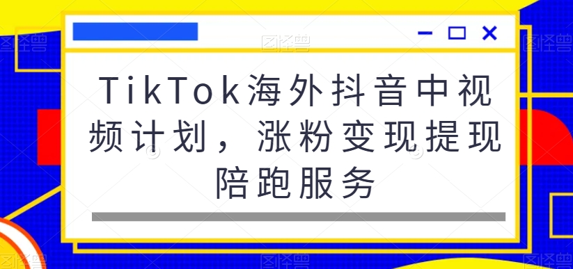 TikTok海外抖音中视频计划，涨粉变现提现陪跑服务-网创资源