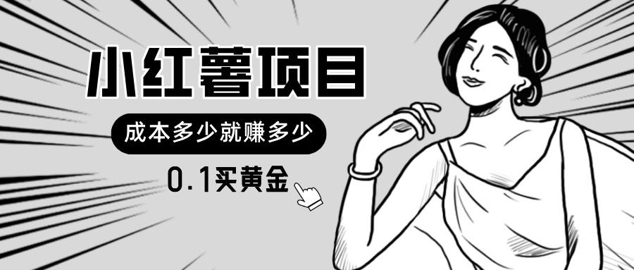 小红薯暴力项目，0.1买黄金。操作简单，日入无上限，可无限扩大。-网创资源