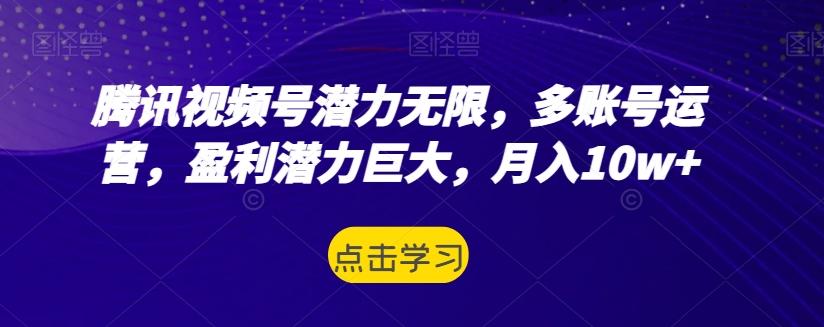 腾讯视频号潜力无限，多账号运营，盈利潜力巨大，月入10w+-网创资源