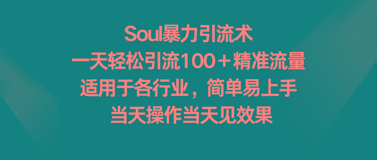 Soul暴力引流术，一天轻松引流100＋精准流量，适用于各行业，简单易上手！-网创资源