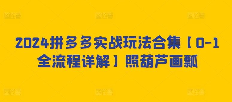 2024拼多多实战玩法合集【0-1全流程详解】照葫芦画瓢-网创资源