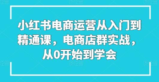 小红书电商运营从入门到精通课，电商店群实战，从0开始到学会-网创资源