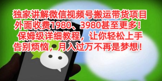 独家讲解微信视频号搬运带货项目，保姆级详细教程-网创资源