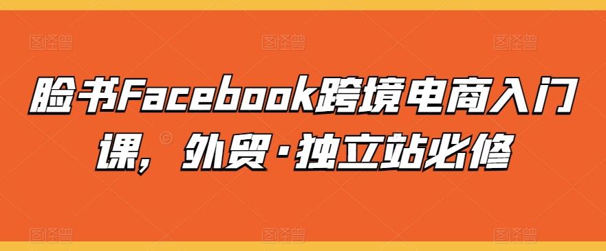 脸书Facebook跨境电商入门课，外贸·独立站必修-网创资源