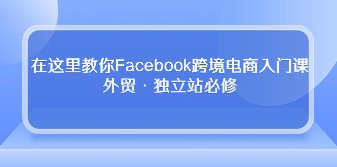 在这里教你Facebook跨境电商入门课，外贸·独立站必修-网创资源