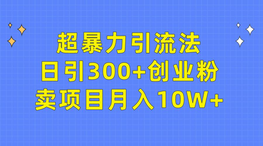 (9954期)超暴力引流法，日引300+创业粉，卖项目月入10W+-网创资源