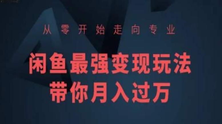 从零开始走向专业，闲鱼最强变现玩法带你月入过万-网创资源