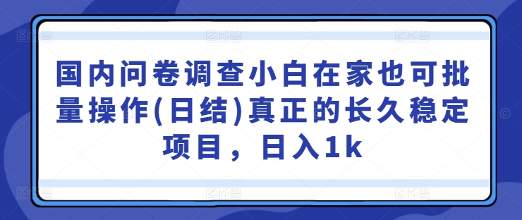 国内问卷调查小白在家也可批量操作(日结)真正的长久稳定项目，日入1k【揭秘】-网创资源