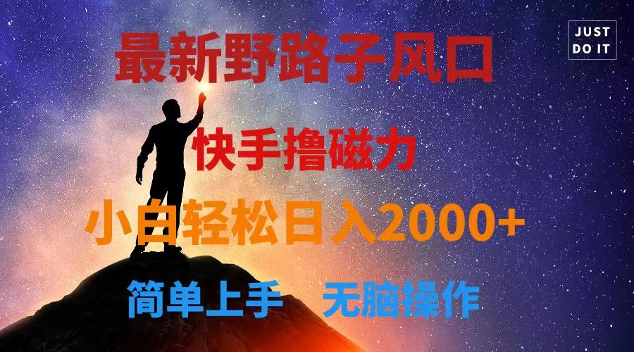 最新风口！快手撸磁力，野路子，小白无脑操作日入2000+-网创资源