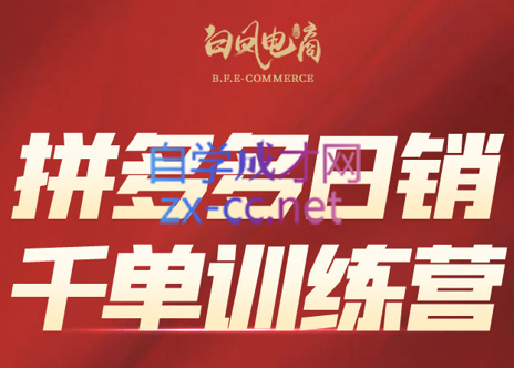 白凤电商学院·拼多多日销千单训练营(更新7月)-网创资源