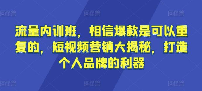 流量内训班，相信爆款是可以重复的，短视频营销大揭秘，打造个人品牌的利器-网创资源