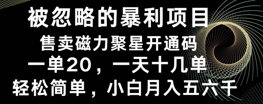 被忽略的暴利项目！售卖磁力聚星开通码，一单20，一天十几单，轻松月入五六千-网创资源