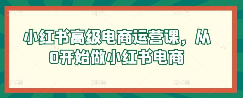小红书高级电商运营课，从0开始做小红书电商-网创资源