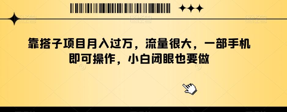 靠搭子项目月入过万，流量很大，一部手机即可操作，小白闭眼也要做-网创资源