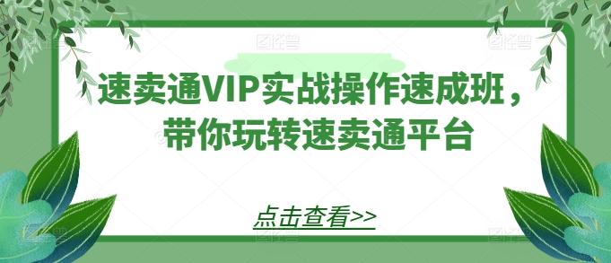 速卖通VIP实战操作速成班，带你玩转速卖通平台-网创资源