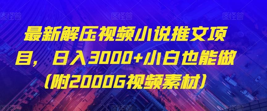 最新解压视频小说推文项目，日入3000+小白也能做（附2000G视频素材）【揭秘】-网创资源