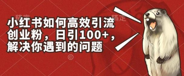 小红书如何高效引流创业粉，日引100+，解决你遇到的问题【揭秘】-网创资源